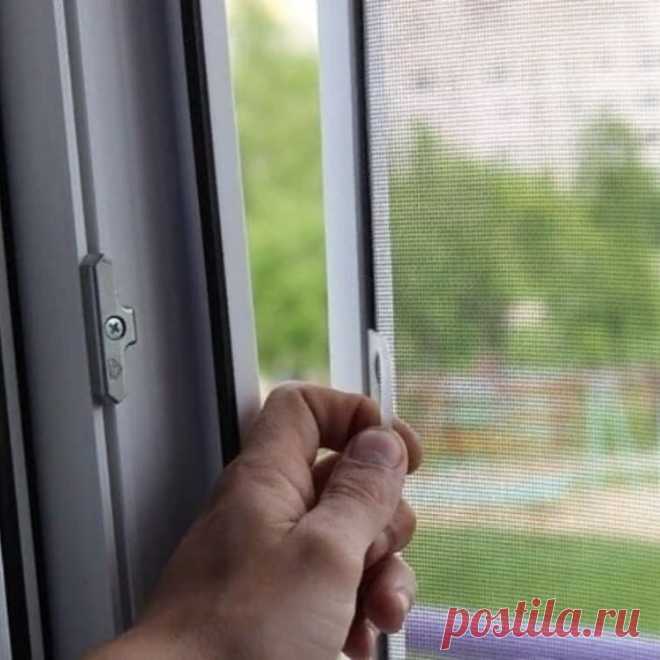 🏡 Москитные сетки от производителя под ключ по вашим размерам
💎 Качественные материалы 😲 Большой опыт работ 💖 Приятные цены
🌍 Санкт-Петербург, улица 2-ой Луч, дом 8, офис 3 📞 +7(812)467-47-55