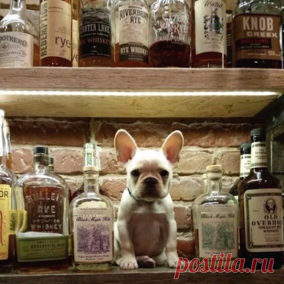 Eli 👍🌷🌺🌻🌼🍒 (@ebendavid5) / Twitter