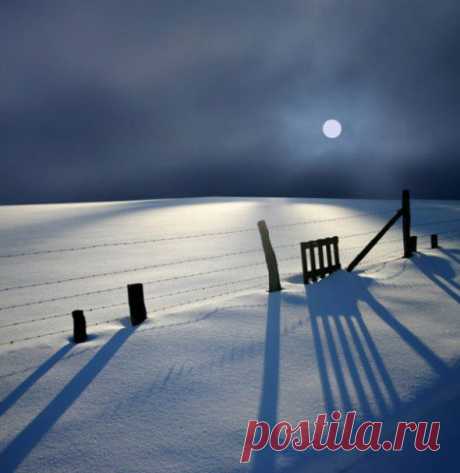 Stunning Nature Photography by Veronika Pinke | e-MORFES