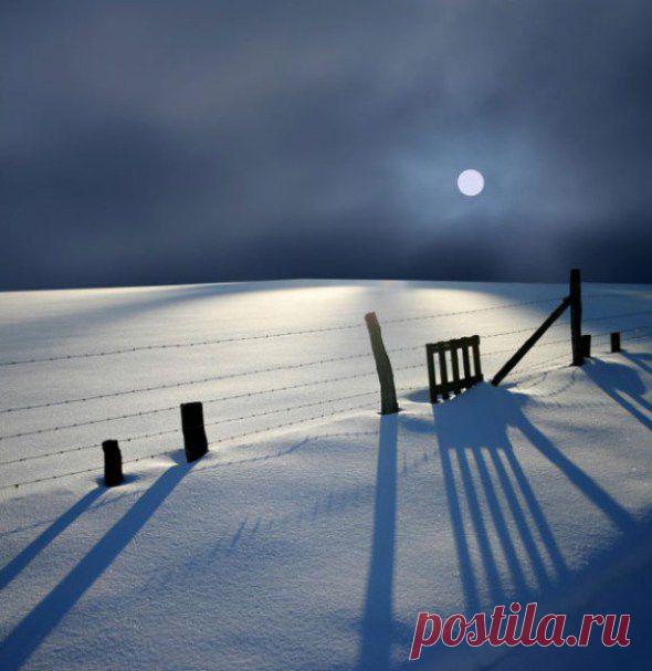 Stunning Nature Photography by Veronika Pinke | e-MORFES
