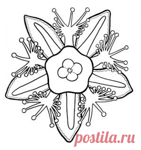 Мандалы для живописи: цветочные мандалы