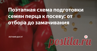 Поэтапная схема подготовки семян перца к посеву: от отбора до замачивания Понятно, что уход за растением начинается с того момент, как вы возьмете в руки семечко и начнете его первую обработку. Так вот, чтобы эта обработка прошла успешно предлагаем вам четкую схему, по которой можно действовать и несколько рецептов замачивания семян для ускорения их всхожести.