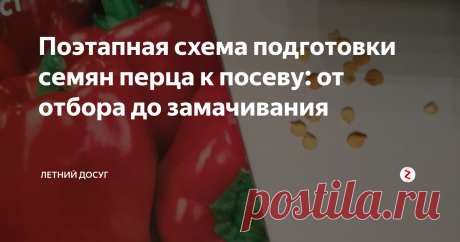 Поэтапная схема подготовки семян перца к посеву: от отбора до замачивания Понятно, что уход за растением начинается с того момент, как вы возьмете в руки семечко и начнете его первую обработку. Так вот, чтобы эта обработка прошла успешно предлагаем вам четкую схему, по которой можно действовать и несколько рецептов замачивания семян для ускорения их всхожести.