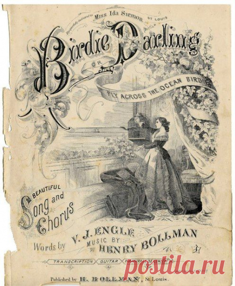 Международный университет декупажа