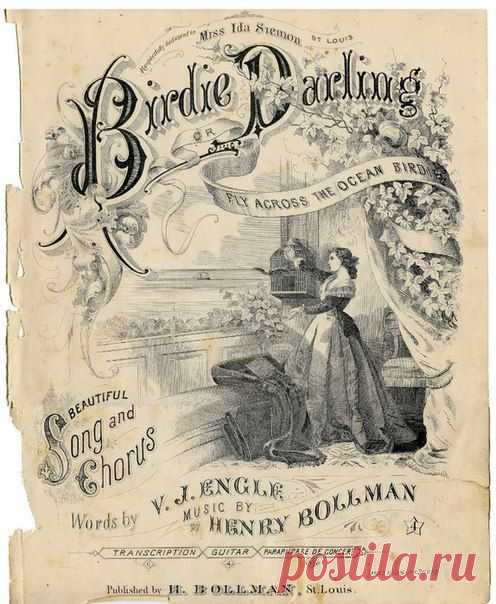 Международный университет декупажа