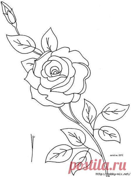 Фотографии на стене сообщества | 32 963 фотографии | ВКонтакте