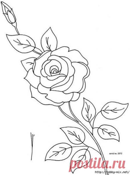 Фотографии на стене сообщества | 32 963 фотографии | ВКонтакте