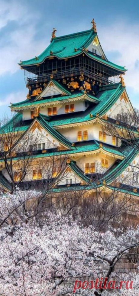 The Best of Culture in Japan
Big time travel destinations - Temple, cherry, blossoms… | Pinterest • Всемирный каталог идей