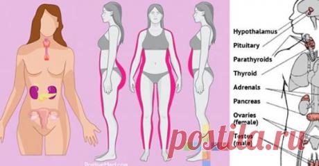 Пять основных эфирных масел для контроля баланса гормонов - Журнал для женщин