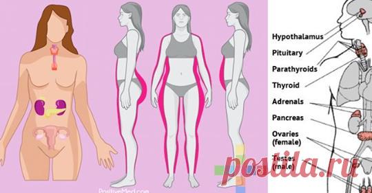 Пять основных эфирных масел для контроля баланса гормонов - Журнал для женщин