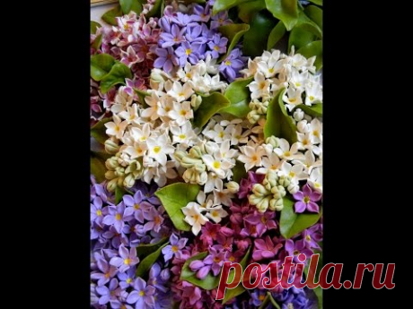 ХОЛОДНЫЙ ФАРФОР-СИРЕНЬ