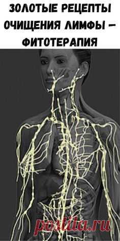 (474) Pinterest