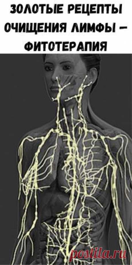 (474) Pinterest