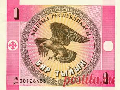 фото купюр 90-х: Кыргестан