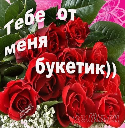 У мудреца спросили: 