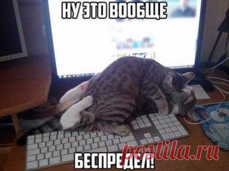 Анекдоты коротыши