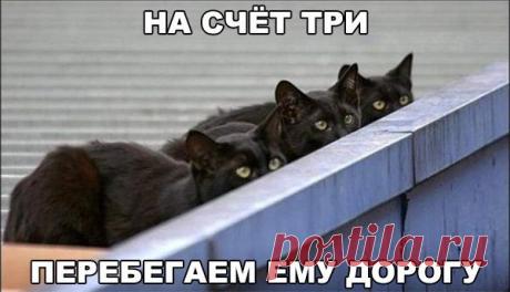 На счёт три... | Позитив
