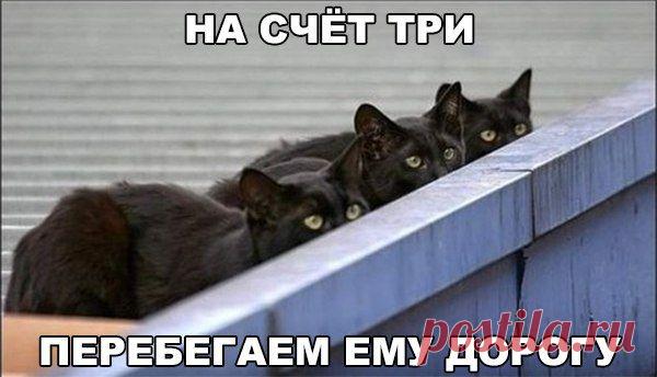 На счёт три... | Позитив