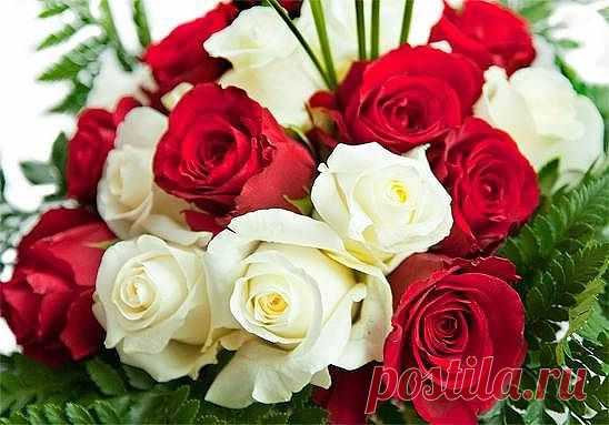 Позволь тебя поздравлю с Днем рожденья!
Огромной радости желаю, вдохновенья,
Забудутся пусть все обиды и ненастья,
Достатка желаю, огромного счастья.
Радость и веселье чтоб чаще в дом стучали,
А в сердце, чтобы не было печали.
Встреч неожиданных и самых ярких,
От близких чаще получать подарки,
Креативных планов, блестящих идей,
Радужных, незабываемых дней,
Успехов в жизни, преданных друзей.