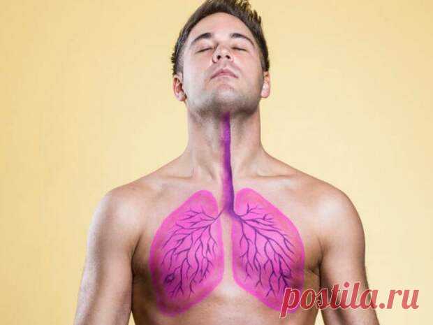 Перечислены 6 продуктов, защищающих легкие от серьезных поражений
Употребление данных продуктов улучшает функцию легких, ускоряет процесс их заживления в случае болезни, а также защищает парный орган даже от серьезных поражений, включая рак. Как сообщает MedikForum.ru, легкие являются главной мишенью для нового коронавируса. Вызываемая им инфекция COVID-19 провоцирует развитие пневмонии,...
Читай дальше на сайте. Жми подробнее ➡