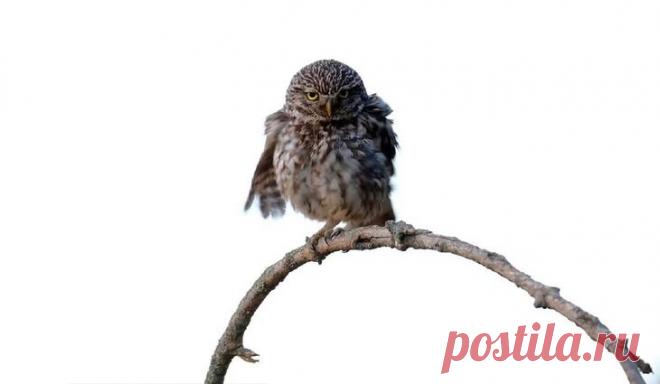 Победители фотоконкурса «Золотая черепаха»