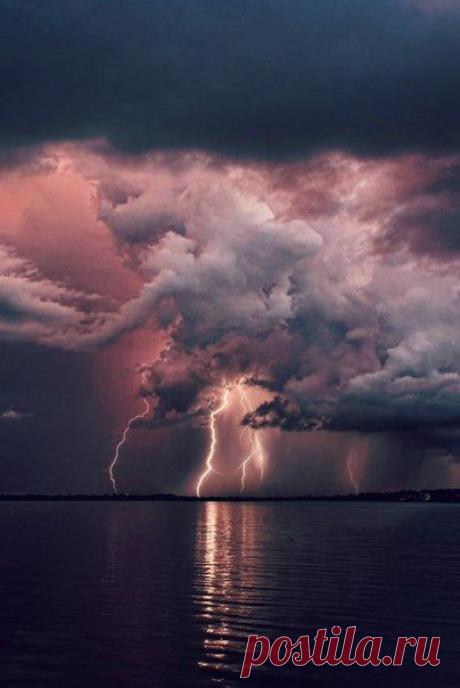 ♥ ЖИВОТНЫЕ ♥ ПРИРОДА ♥