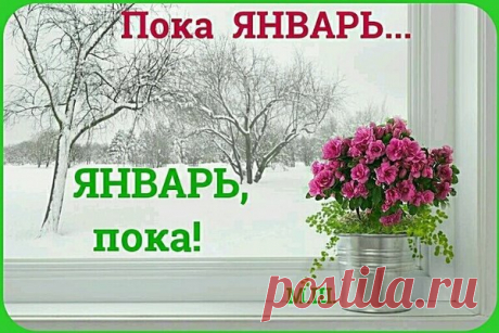 До свидания, январь! - ДОСТОЙНАЯ ЖИЗНЬ НА ПЕНСИИ - медиаплатформа МирТесен