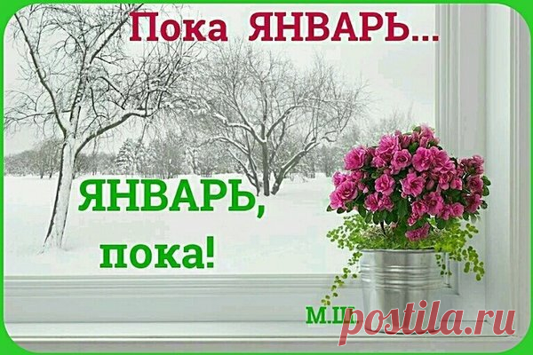 До свидания, январь! - ДОСТОЙНАЯ ЖИЗНЬ НА ПЕНСИИ - медиаплатформа МирТесен