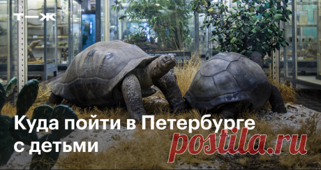 Музеи Петербурга, где будет интересно детям Что они там увидят и сколько стоят билеты