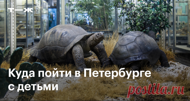 Музеи Петербурга, где будет интересно детям Что они там увидят и сколько стоят билеты