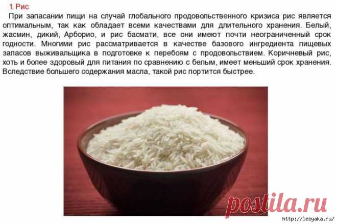 Продукты, которые можно хранить всю жизнь
