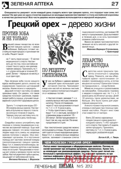 Грецкий орех - дерево жизни