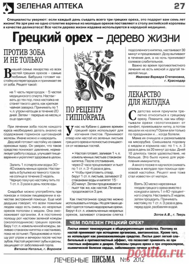 Грецкий орех - дерево жизни