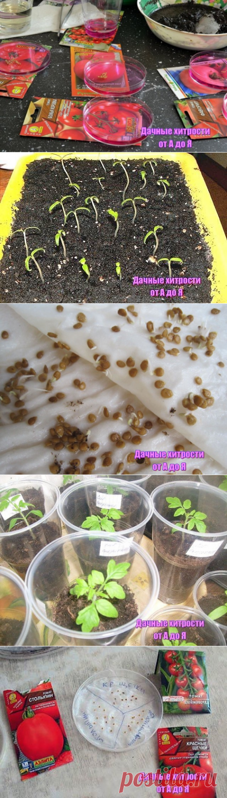 (46) Одноклассники