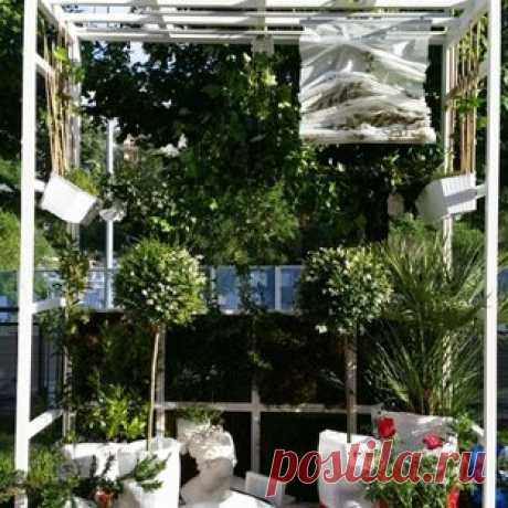 PODIUM "L'antico giardino moderno" - Современный - Балкон и лоджия - Рим - от эксперта Paesaggista Silvia Ramieri