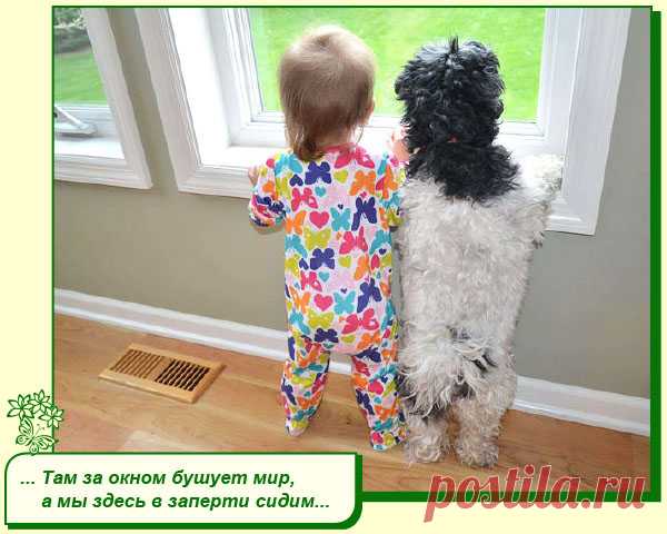Хорошего Вам настроения.