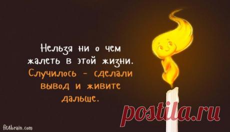 Немного забавной философии, Фитнес для мозга