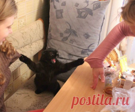 Социальная сеть Мой Мир@Mail.Ru: Ваши одноклассники, однокурсники и друзья в контакте с Вами!