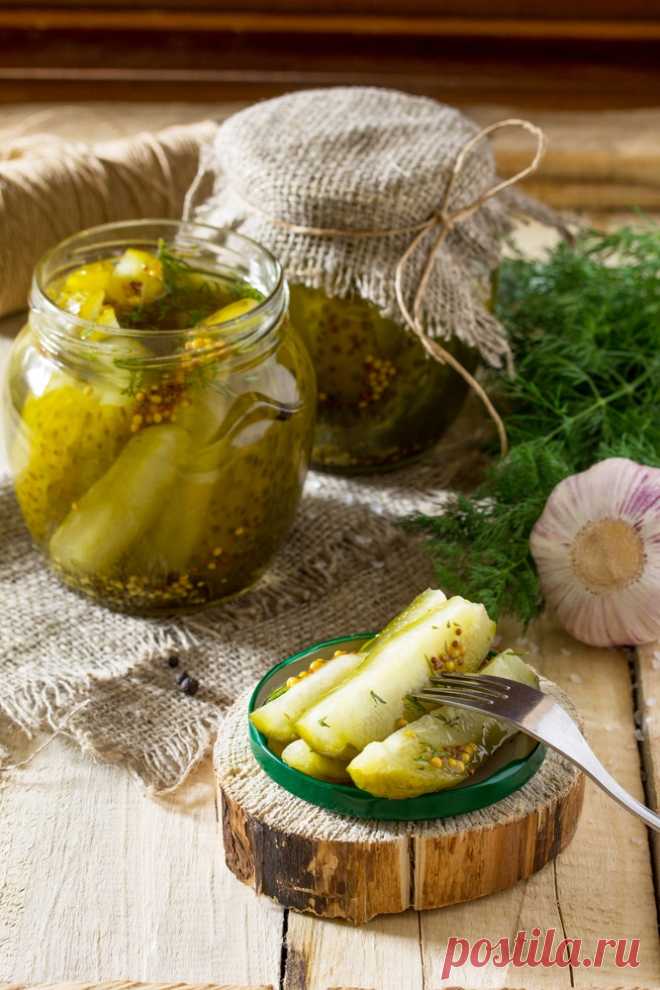 Соленые огурцы - заготовки и другие рецепты с огурцами