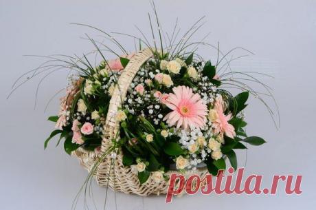 МИР РУКОДЕЛИЯ