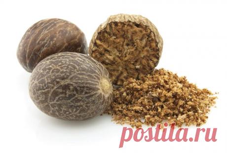 То, что мы не знали о МУСКАТНОМ ОРЕХЕ 
Мускатный орех обладает тремя вкусами из шести возможных - острым, горьким и вяжущим, а послевкусие у него острое, поэтому он возжигает огонь пищеварения, нормализует баланс Ваты и Капхи, увеличивает…