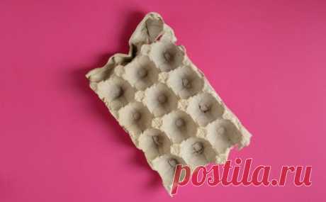 Применение бумажных лотков от яиц Яйца — один из самых популярных продуктов едва ли не на каждой кухне. А потому среди мусора, который мы регулярно выбрасываем, есть немало бумажных и пластиковых лотков от яиц.При этом мы не задумывае...