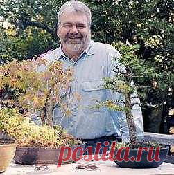 Bonsai Gardening Secrets - Discover the Wonders of Bonsai!