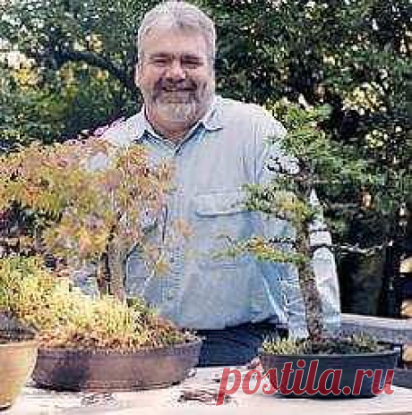 Bonsai Gardening Secrets - Discover the Wonders of Bonsai!