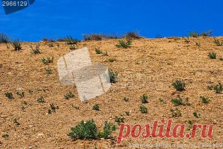 ScandinavianStockPhoto.com