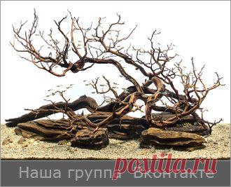 Аквариумные фильтры. Возникающие проблемы и их решение