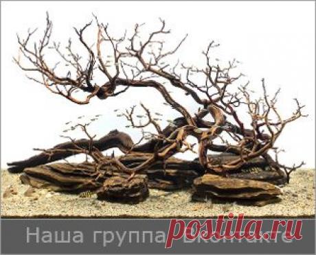 Аквариумные фильтры. Возникающие проблемы и их решение