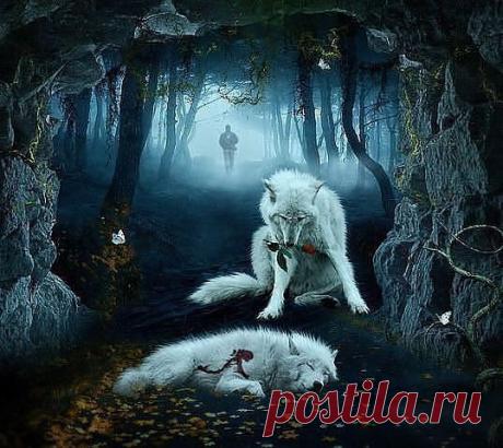 Волки выбирают пару один раз в жизни.Потеряв свою половинку, умирают от тоски. Они не предают. Волк - сила и преданность, страсть и ярость, любовь и свобода.