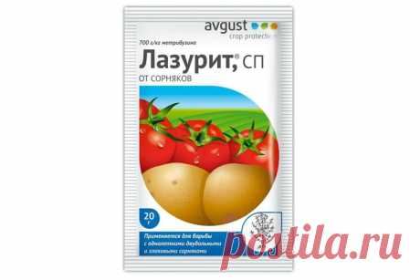 «Лазурит»
Химическое порошкообразное средство популярно у огородников, как удалитель сорняков на картофельных полях и помидорных грядах, в том числе и в теплице. «Лазурит» действует селективно и не несет опасности культурным растениям.
Лазурит
Как использовать:
10 г порошка развести 3 л воды для первичной обработки, через неделю после посадки картофеля;
10 г вещества на 9 л воды разводят для второй обработки, когда ростки картофеля достигнут 5-6 см;
почву под томаты обраба...