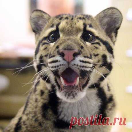 (2) Facebook